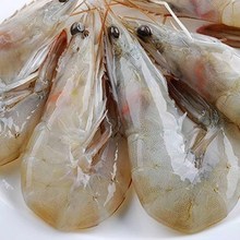 大连野5t大虾13厘jt水产活虾明虾对虾海虾冰冻青虾4斤