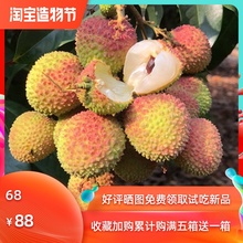 新鲜妃8j笑三月红桂ee孕妇水果5斤装当季现摘现发白糖罂