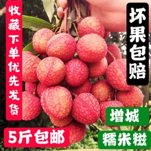 增城糯8j糍现摘现发ee鲜包邮10斤一箱孕妇水果大王