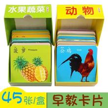 宝宝动ai卡片图片识az水果幼儿幼儿园套装读书认颜色新生大两