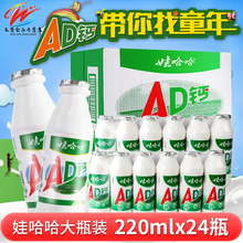 娃哈哈aiD钙奶22ai*24瓶哇哈哈ad钙宝宝酸奶整箱饮料批发包邮