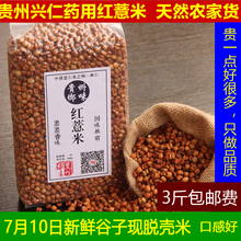 贵州兴ai红500克ai仁米(小)粒五谷米杂粮红薏苡仁五谷杂粮