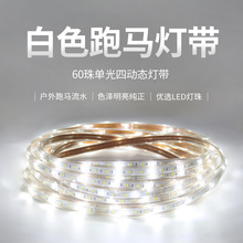跑马灯biled 七ni霓虹灯户外流水条防水220V柔性线灯带