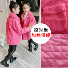 女童外bi秋装201ni宝宝羊羔绒秋冬装中大童洋气加厚(小)女孩大衣