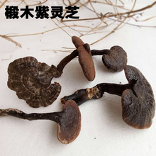 整枝灵bj半野生紫灵bm生紫芝整朵林芝草深山林下250g