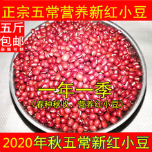 老兵米bk新东北黑龙kj农家红(小)豆红豆饭红豆粥500克真空