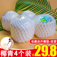 海南新br4个装当季cm去皮椰青椰宝国毛耶子鲜老