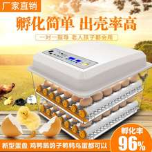 电抱孵bu机家用全自d4器(小)型孔雀(小)鸡抱蛋器暖化机器浮