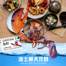 加拿1bw00-16rf 进口 波士顿龙虾 260元 包邮