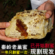 [chuva]Ұ����Դ�����ϳ���������Ȼũ����