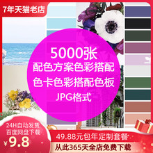 室内设cq方案软装色tg卡搭配网页设计师搭配色板jpg图片素材