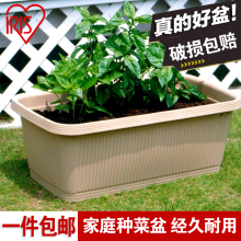 爱丽思da台种菜盆长sa大花盆塑料树脂5/6/700花盆