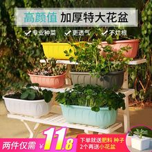 熊猫花da长方形绿萝saP阳台种菜盆厚特大花盆托盘