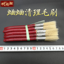 蟋蟀用da打扫清理蛐ju的刷子浆底刷底用的蛐蛐清理毛刷