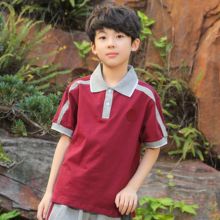 东莞市dg岗镇(小)学生m8服棉短袖T恤短裤夏季套装凤岗(小)学校服