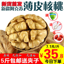 新货新dp特产5斤实lw级薄壳原味生孕妇坚果散装包邮