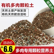 多肉植dz泥炭土多肉kj换盆土多肉专用土多肉颗粒土包邮