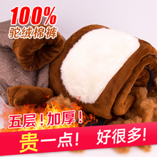 【五层eg加厚棉裤男nu绒保暖裤加绒女东北中老年的羊毛裤大码