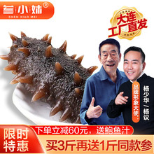 参(小)妹fa大连500dz鲜海参鲜活袋装即食辽刺参