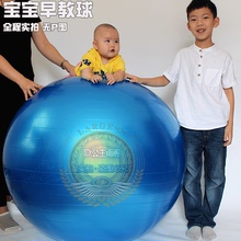 正品感fa100cmdz防爆健身球大龙球 宝宝感统训练球康复