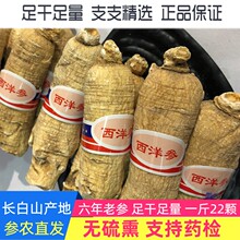 东北长fe山的参整枝uo0克精选花旗参段特级洋参段切片粉