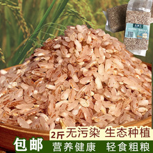 云南元fm哈尼粗粮糙dx装软红香米食用煮粥2斤不抛光