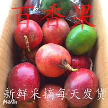 新鲜广fm5斤包邮一pp大果10点晚上10点广州发货