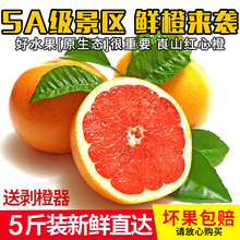 湖南崀ft橙子新宁红ls新鲜水果非进口赛赣南脐橙5斤包邮