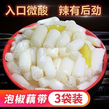 洪湖藕fu即食莲藕泡ng耦带卜藕尖干(小)新鲜袋装连芽湖北特产