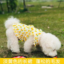 网红菠fw裙子(小)春夏ab咪宠物(小)型犬博美比熊夏季薄式