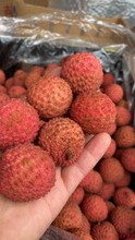 现货新ga澳大利亚进en澳洲空运孕妇水果特价顺丰包邮