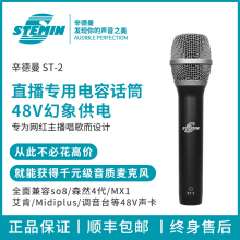 STEgaIN辛德曼en2直播手持电容录音棚K歌话筒专业主播有线