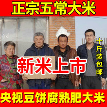 央视4gb0亩豆饼肥gc产大米东北黑龙江五常稻香新米10斤陈洪刚