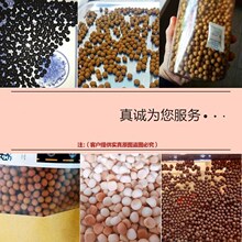 丸手动gb药药丸机水jj(小)丸(小)型家用药机新