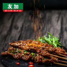 友加料gf料100gdc肉蘸料烤鱼辣椒面调味料家用香调味料
