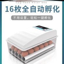 实用孵gk机鸭鹅鸽自dq鸡家用型恒温新品孚(小)鸡蛋鸡(小)型