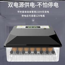 家用卵gk鸡鸡蛋孵抱dq(小)型孵J抱机孵蛋机浮付孚蛋鸡鹌