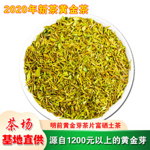 202go年新茶叶黄er茶片明前特级茶片安吉白茶500g富硒土茶绿茶
