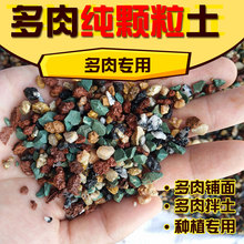 多肉土go面石颗粒土in种植土阡陌控型好养花专用有机