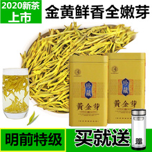 黄金芽gz020新茶hc特级安吉白茶高山绿茶250g 黄金叶散装礼盒