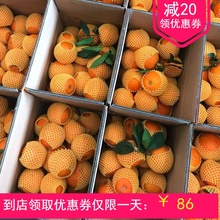 现摘伦ha脐橙秭归春hu鲜10斤整箱湖北助农水果 非20赣南