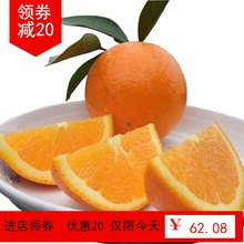 秭归春ha伦晚脐橙带hu斤 现摘新鲜橙子时令当季水果非赣南