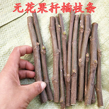 果树苗hc品种无花果fk条青皮红肉南北方种植盆栽地栽