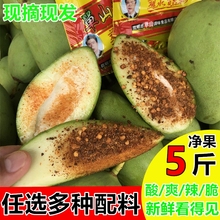 5斤酸hf生包邮椒盐dw鲜现摘现发送酸梅粉三年四季芒