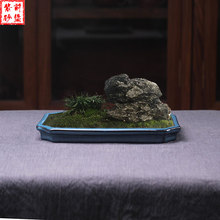 宜兴紫hf蓝釉水八角pd水底托盘假山吸水石盆景盆花盆陶瓷包邮