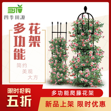 蔷薇月hu铁线莲绿萝an支柱包塑钢管园艺支柱种植架