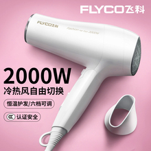 飞科电hu用大功率宿an生网红式风筒发廊静音冷热不伤发