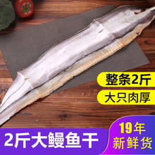 2斤大hu1000gua条 风海鳗干鳗鲡鳗鱼鲞咸鱼干 海鲜干货