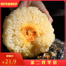 李食记hy古田干货2fz雪耳丑耳白木耳特级糯耳鲜莲子羹