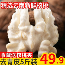 云南去hz皮新鲜核桃a0核桃5斤包邮鲜嫩纸皮核桃孕妇零食核桃
